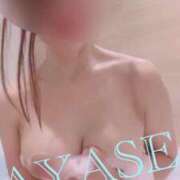 ヒメ日記 2025/04/07 18:02 投稿 綾瀬（アヤセ） アバンチュール(五反田)