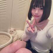 ヒメ日記 2026/01/01 01:50 投稿 れいら まだ舐めたくて学園渋谷校〜舐めたくてグループ〜