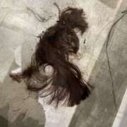 ヒメ日記 2025/06/16 10:06 投稿 はづき ぽっちゃり熟女 ～バカラ～