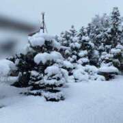 ヒメ日記 2026/01/01 10:42 投稿 はづき ぽっちゃり熟女 ～バカラ～