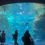 ヒメ日記 2025/04/28 15:54 投稿 みお 静岡♂風俗の神様 静岡店