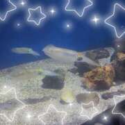 ヒメ日記 2025/05/14 11:38 投稿 みお 静岡♂風俗の神様 静岡店