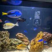 ヒメ日記 2025/06/09 19:28 投稿 みお 静岡♂風俗の神様 静岡店