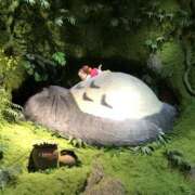 ヒメ日記 2025/06/30 13:21 投稿 島村 艶妻