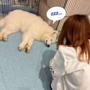 ヒメ日記 2025/08/16 21:42 投稿 島村 艶妻