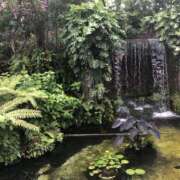 ヒメ日記 2025/11/26 12:41 投稿 島村 艶妻