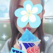 ヒメ日記 2025/05/10 17:55 投稿 まさき 奥様鉄道69 東京店