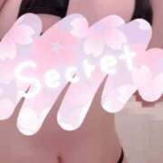 ヒメ日記 2025/04/06 12:22 投稿 ましろ みつらん鉄道