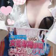 ヒメ日記 2025/06/19 11:30 投稿 ましろ みつらん鉄道