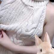 ヒメ日記 2025/07/09 22:04 投稿 ましろ みつらん鉄道