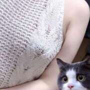 ヒメ日記 2025/07/10 22:14 投稿 ましろ みつらん鉄道