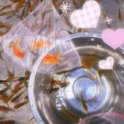 ヒメ日記 2025/07/17 21:34 投稿 ましろ みつらん鉄道