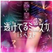 ヒメ日記 2025/12/07 16:34 投稿 ましろ みつらん鉄道