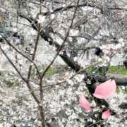 ヒメ日記 2026/03/29 17:04 投稿 ましろ みつらん鉄道