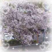 あかね しゅっきーん♡ 成田人妻花壇