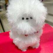 ヒメ日記 2024/12/20 08:48 投稿 なこ 上野ハイブリッドマッサージ