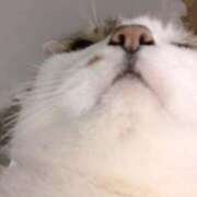 ヒメ日記 2025/01/23 18:38 投稿 なこ 上野ハイブリッドマッサージ