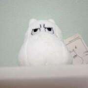 ヒメ日記 2025/04/06 07:18 投稿 なこ 上野ハイブリッドマッサージ