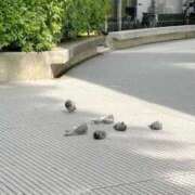 ヒメ日記 2025/05/14 16:28 投稿 なこ 上野ハイブリッドマッサージ