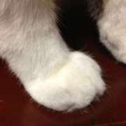 ヒメ日記 2025/06/09 07:28 投稿 なこ 上野ハイブリッドマッサージ