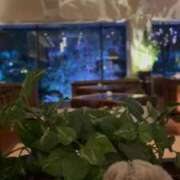 ヒメ日記 2025/09/08 07:18 投稿 なこ 上野ハイブリッドマッサージ