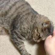 ヒメ日記 2025/09/28 21:28 投稿 なこ 上野ハイブリッドマッサージ