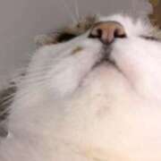 ヒメ日記 2025/03/02 20:28 投稿 なこ 品川ハイブリッドマッサージ