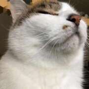 ヒメ日記 2025/03/25 14:38 投稿 なこ 品川ハイブリッドマッサージ