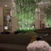 ヒメ日記 2025/04/10 07:58 投稿 なこ 品川ハイブリッドマッサージ