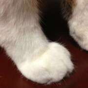 ヒメ日記 2025/08/06 22:38 投稿 なこ 品川ハイブリッドマッサージ