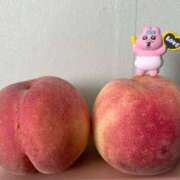 ヒメ日記 2025/09/11 08:58 投稿 なこ 品川ハイブリッドマッサージ