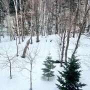 ヒメ日記 2026/03/28 15:22 投稿 三好 さえ クラブアイリス名古屋