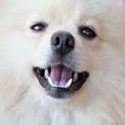 ヒメ日記 2025/09/12 17:50 投稿 のりか アイスキャンディーラブ