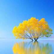 ヒメ日記 2025/11/25 23:10 投稿 のりか アイスキャンディーラブ