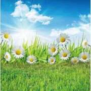 ヒメ日記 2026/04/01 16:03 投稿 のりか アイスキャンディーラブ