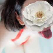 ヒメ日記 2026/04/16 14:21 投稿 みれい NEW GENERATION