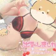 ヒメ日記 2025/03/09 09:54 投稿 橋本 ふみ ハレ系 福岡DEまっとる。