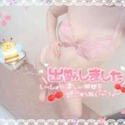 ヒメ日記 2025/04/06 09:58 投稿 橋本 ふみ ハレ系 福岡DEまっとる。