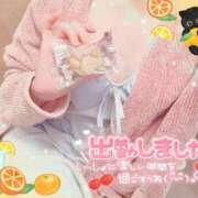 ヒメ日記 2025/04/11 09:58 投稿 橋本 ふみ ハレ系 福岡DEまっとる。