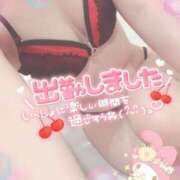 ヒメ日記 2025/04/21 09:46 投稿 橋本 ふみ ハレ系 福岡DEまっとる。