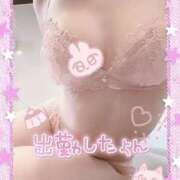 ヒメ日記 2025/05/24 09:54 投稿 橋本 ふみ ハレ系 福岡DEまっとる。