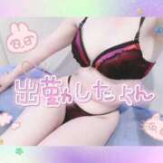 ヒメ日記 2025/06/01 09:48 投稿 橋本 ふみ ハレ系 福岡DEまっとる。