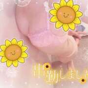 ヒメ日記 2025/08/08 10:04 投稿 橋本 ふみ ハレ系 福岡DEまっとる。