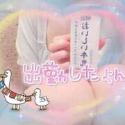 ヒメ日記 2025/09/15 10:03 投稿 橋本 ふみ ハレ系 福岡DEまっとる。