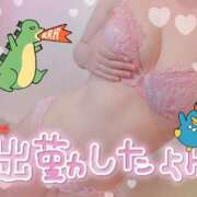 ヒメ日記 2025/09/18 09:59 投稿 橋本 ふみ ハレ系 福岡DEまっとる。