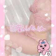 ヒメ日記 2025/09/22 09:50 投稿 橋本 ふみ ハレ系 福岡DEまっとる。