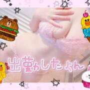 ヒメ日記 2025/10/13 10:03 投稿 橋本 ふみ ハレ系 福岡DEまっとる。