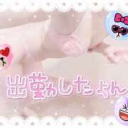 ヒメ日記 2025/11/01 10:00 投稿 橋本 ふみ ハレ系 福岡DEまっとる。