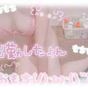 ヒメ日記 2025/11/17 09:53 投稿 橋本 ふみ ハレ系 福岡DEまっとる。