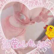 ヒメ日記 2025/11/22 09:57 投稿 橋本 ふみ ハレ系 福岡DEまっとる。